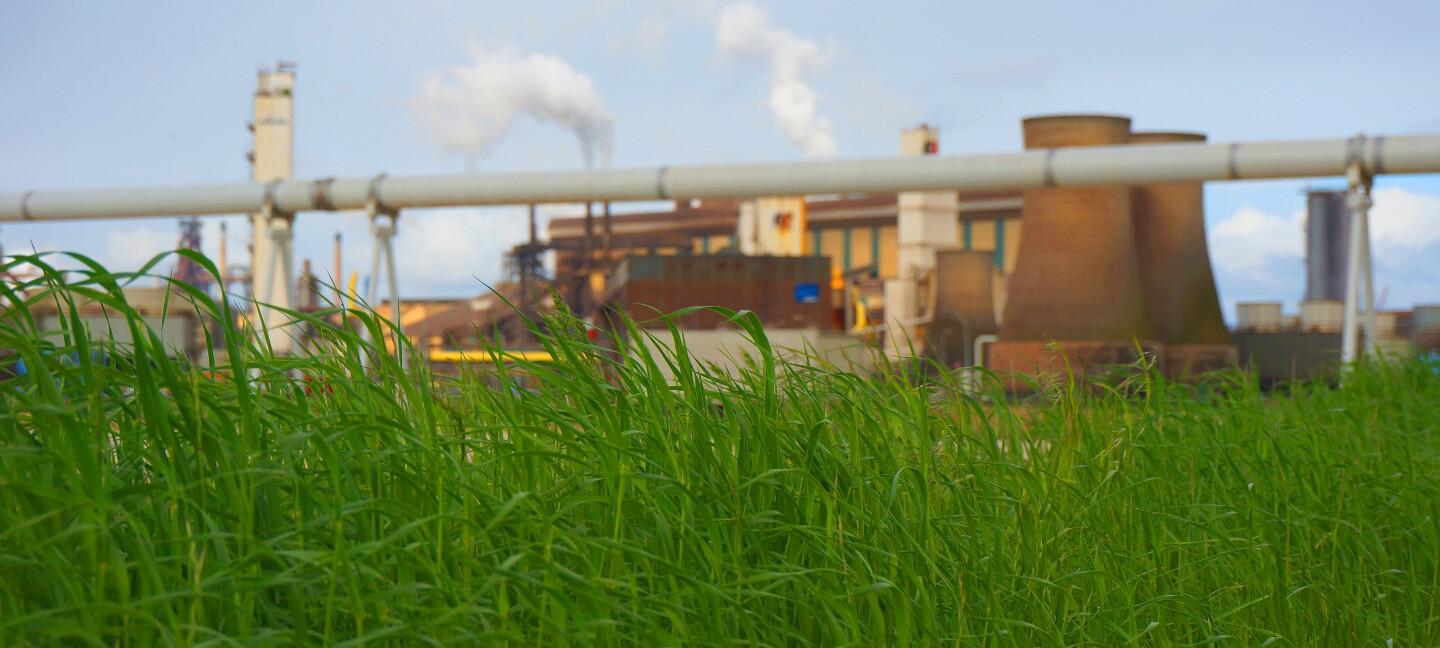 Cover foto van bedrijf