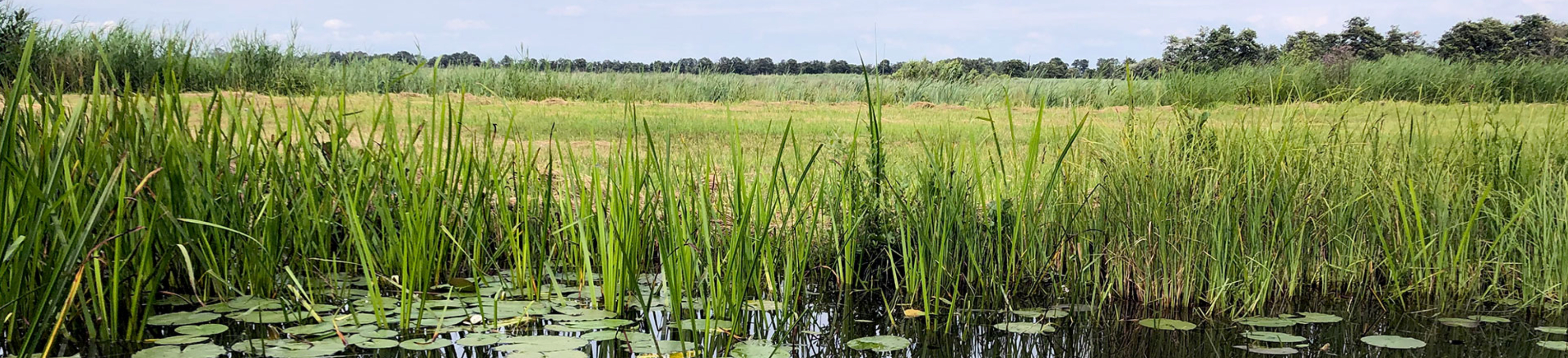 Cover foto van bedrijf