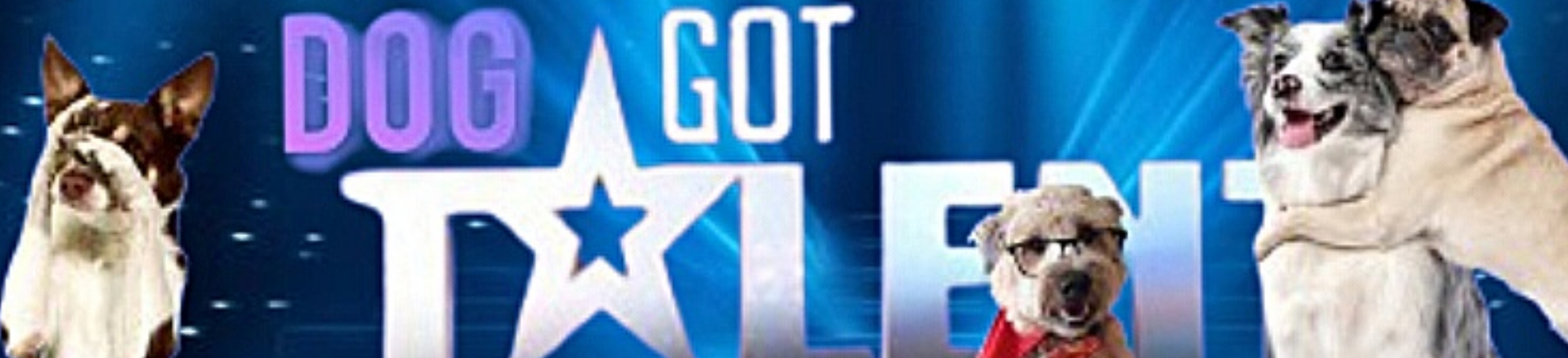 Cover foto van bedrijf